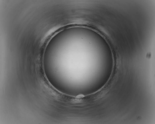 X0000114011315200910021332