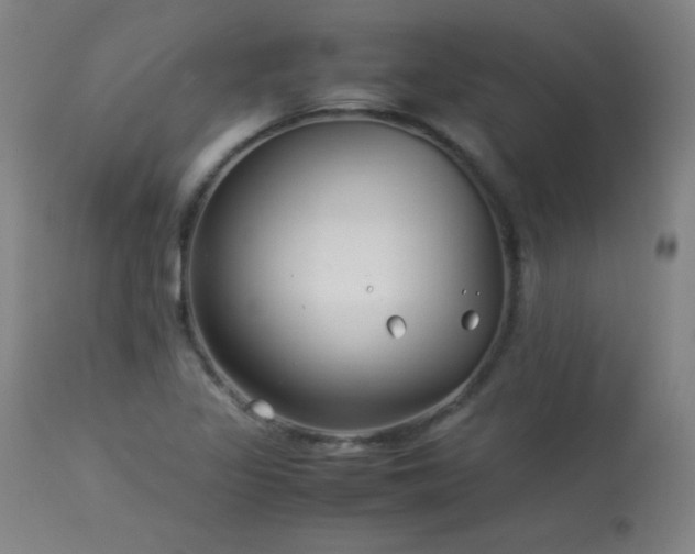 X0000114011317200910021332