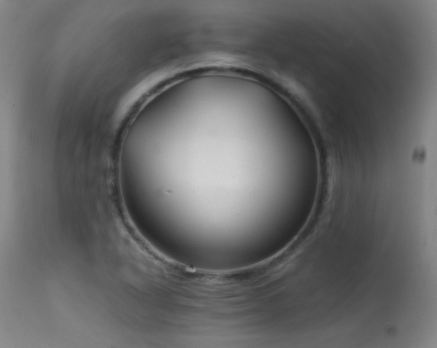 X0000114011318200910021332