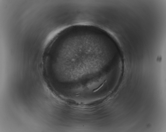 X0000114011319200910021332