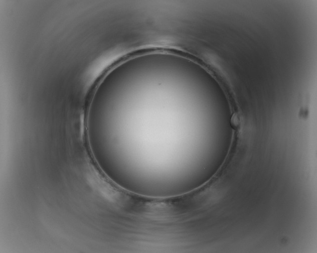 X0000114011320200910021332