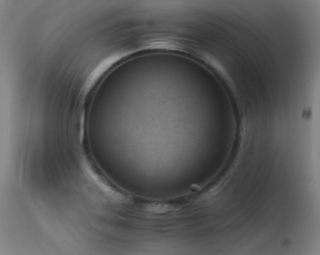 X0000114011323200910021332
