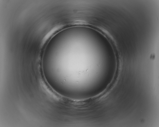 X0000114011325200910021332