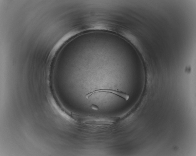X0000114011331200910021332
