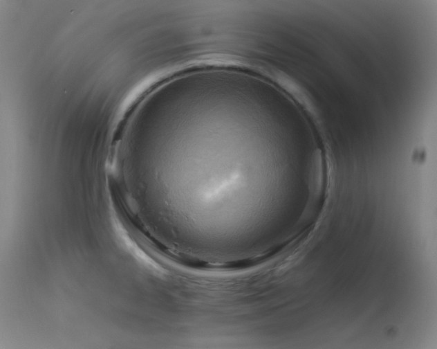 X0000114011334200910021332