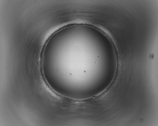X0000114011335200910021332