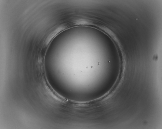 X0000114011337200910021332