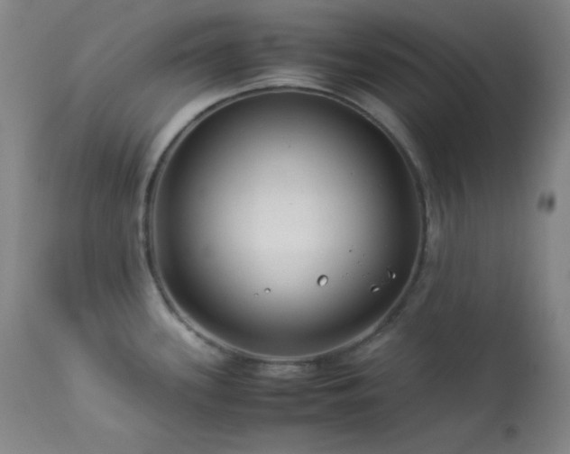 X0000114011339200910021332
