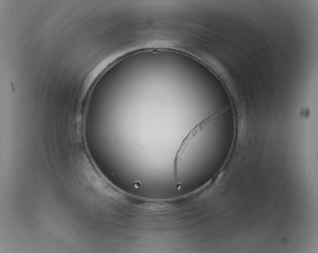 X0000114011340200910021332
