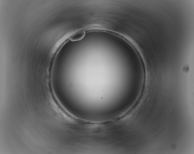 X0000114011341200910021332