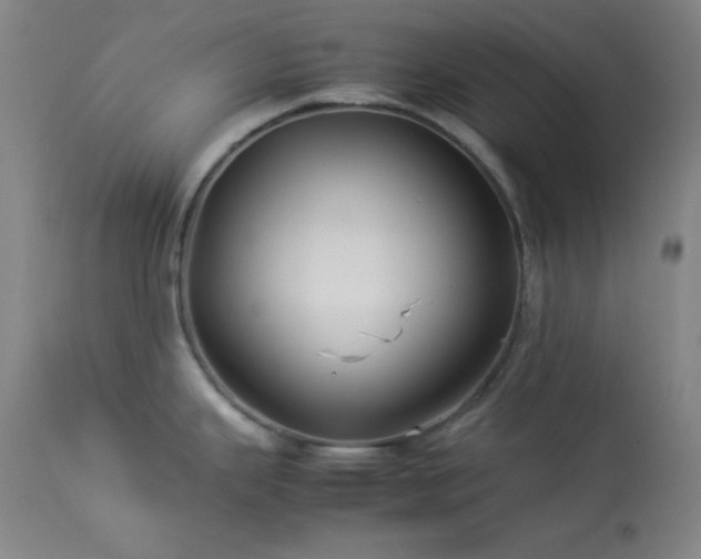 X0000114011343200910021332