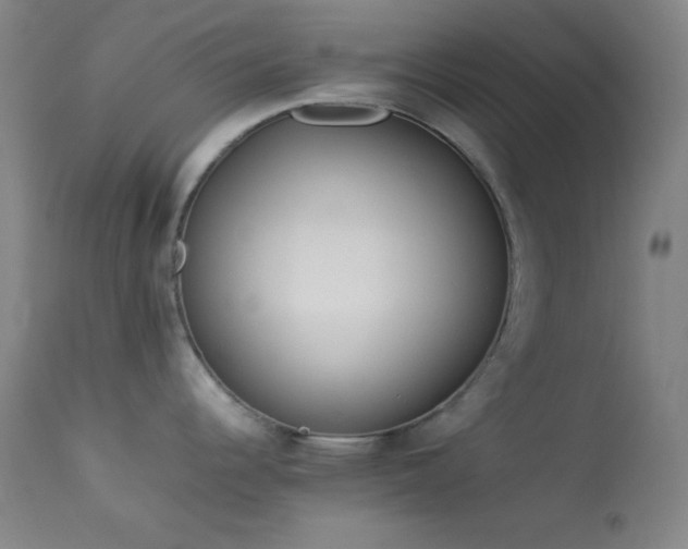 X0000114011344200910021332