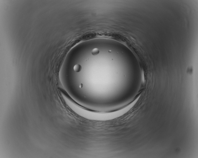X0000114011345200910021331