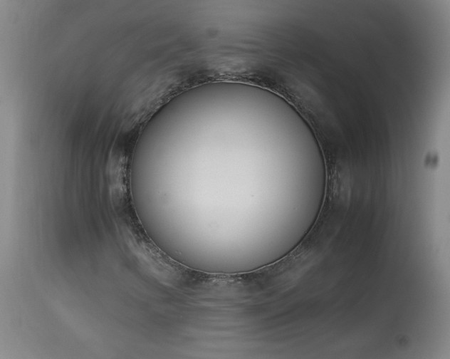 X0000114011346200910021331