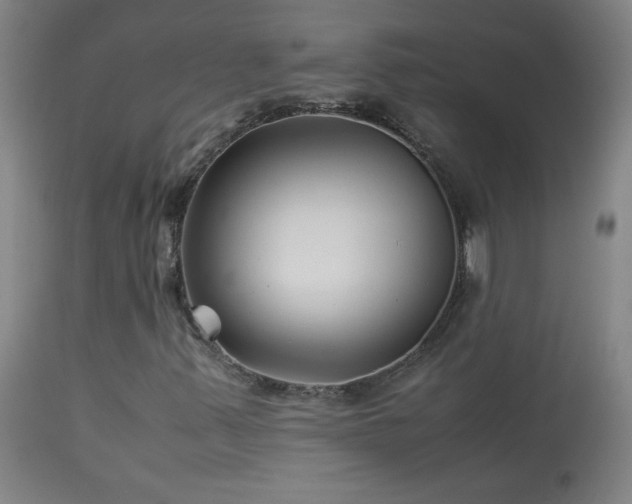 X0000114011347200910021331