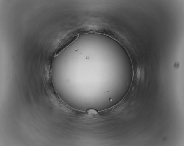 X0000114011348200910021331