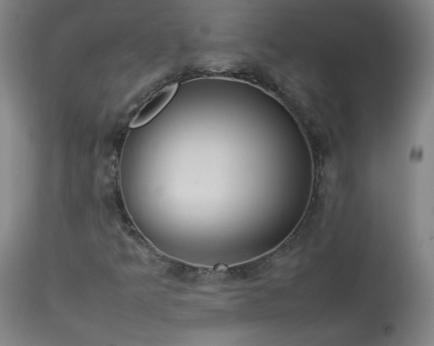 X0000114011349200910021331