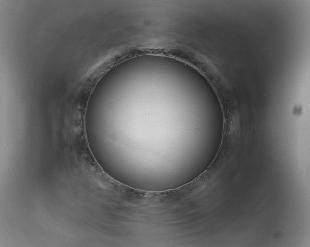 X0000114011350200910021331