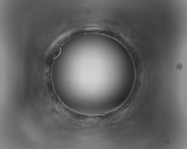 X0000114011351200910021331