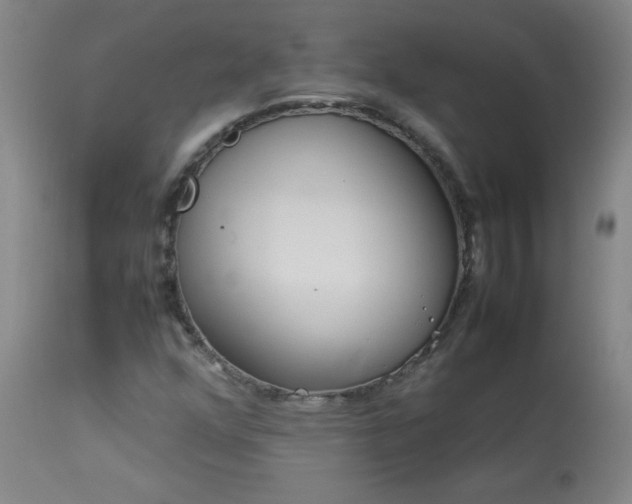 X0000114011352200910021331