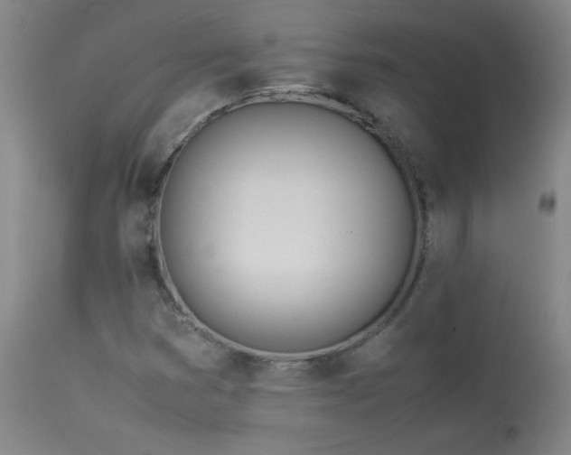 X0000114011353200910021331