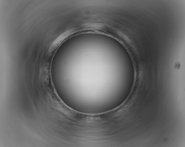 X0000114011354200910021331