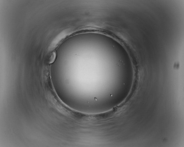 X0000114011355200910021331