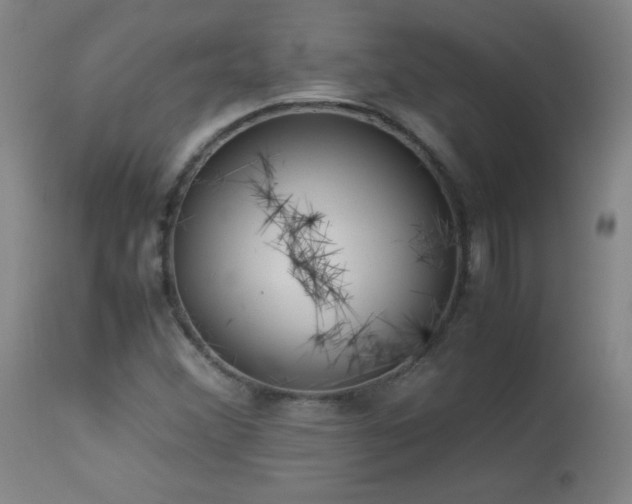 X0000114011356200910021331