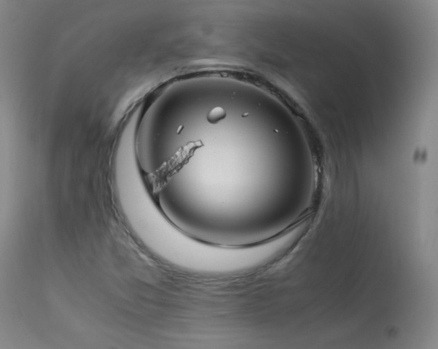 X0000114011357200910021331