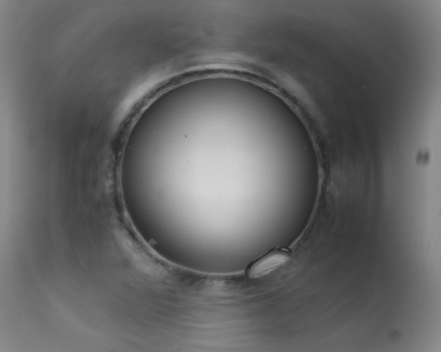 X0000114011360200910021331