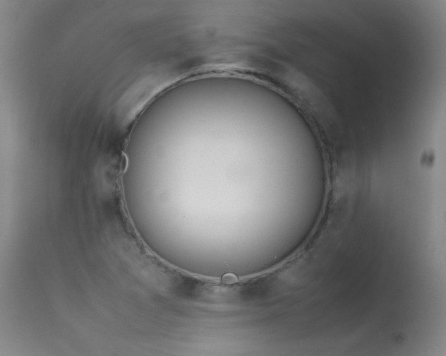 X0000114011361200910021331