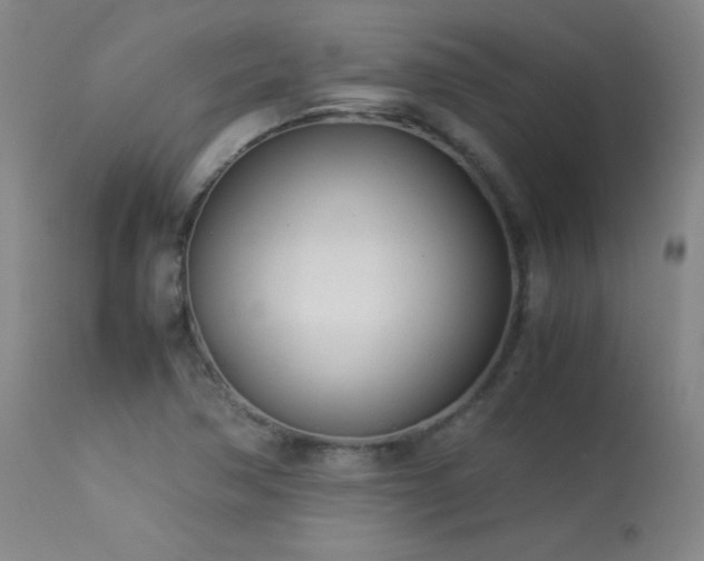 X0000114011362200910021331