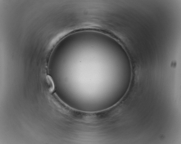 X0000114011363200910021331