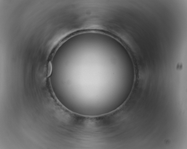 X0000114011364200910021331