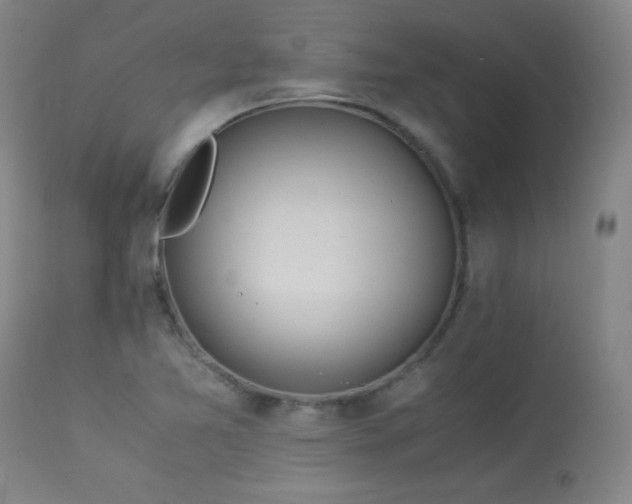 X0000114011365200910021331