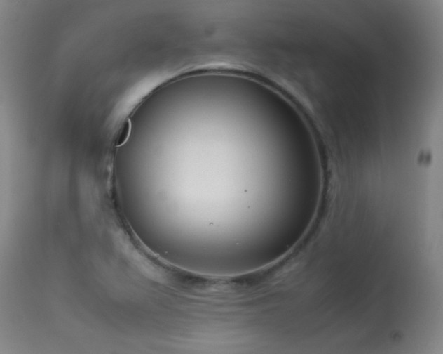 X0000114011367200910021331