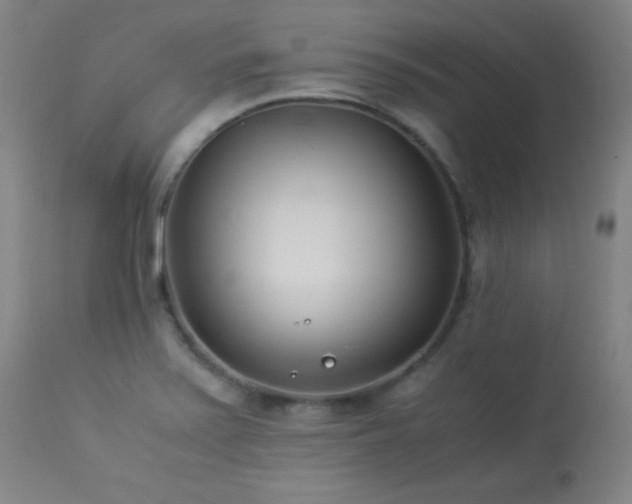 X0000114011371200910021331