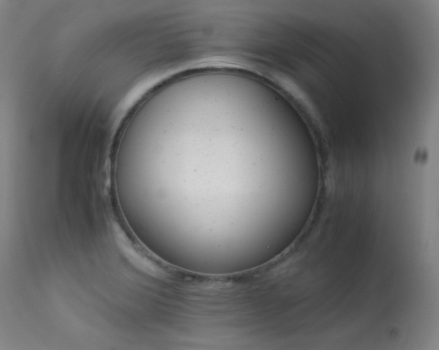 X0000114011372200910021331