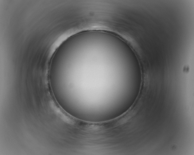 X0000114011374200910021331