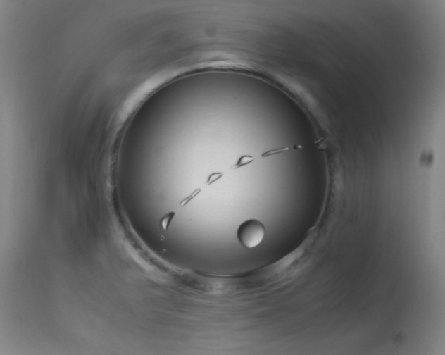 X0000114011375200910021331