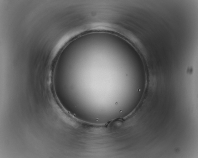 X0000114011376200910021331