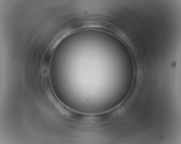 X0000114011377200910021331