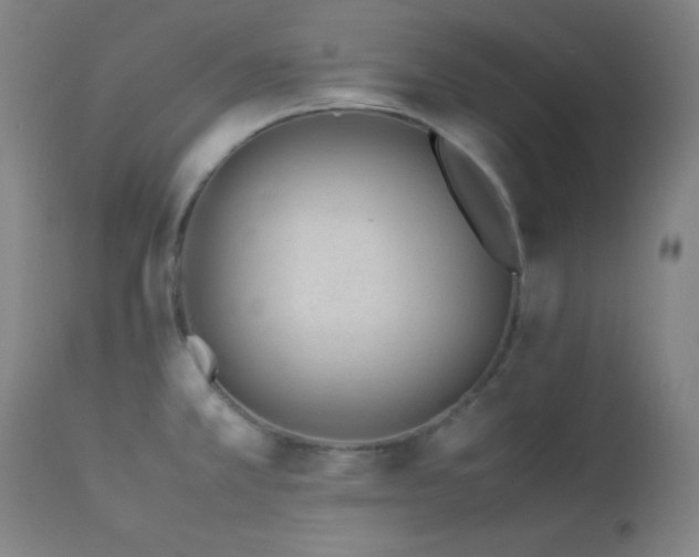 X0000114011381200910021331