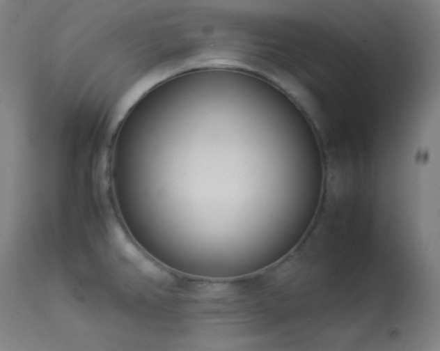X0000114011382200910021331