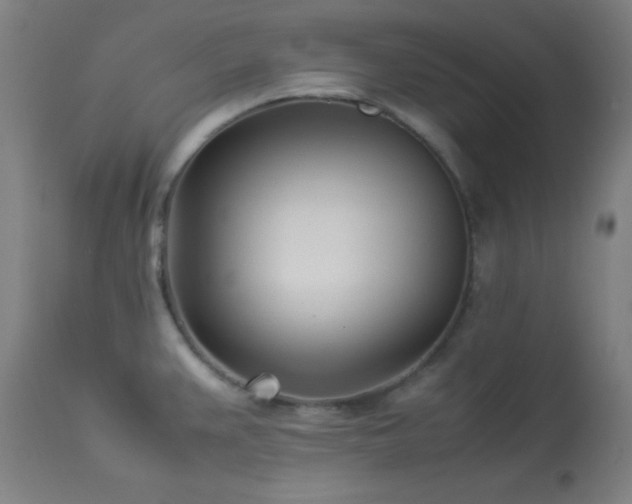 X0000114011383200910021331