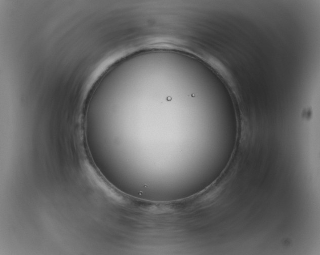 X0000114011384200910021331