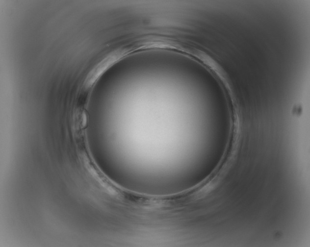 X0000114011385200910021331