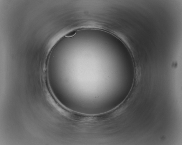 X0000114011387200910021331