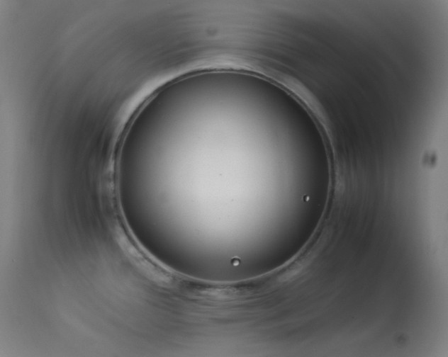 X0000114011388200910021331