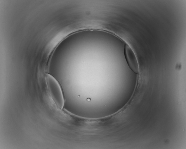 X0000114011389200910021331
